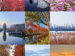 -洋湖国家湿地公园