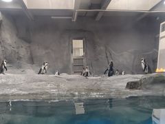 -武汉动物园