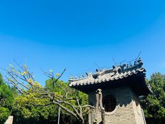 -蓬莱阁景区