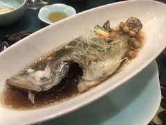 -十八棵（老龙井）御茶园(老龙井店)