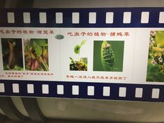 -上海昆虫博物馆