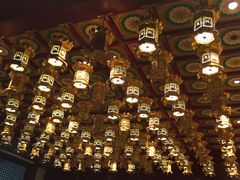 -新加坡佛牙寺龙华院