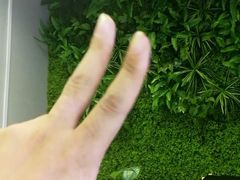 其他-引领英语·成人口语·雅思托福