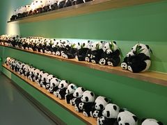 -沈阳森林动物园