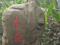 -广西壮族自治区药用植物园