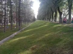 -吉林大学(前卫南区)