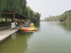 -东方巨龟苑景区