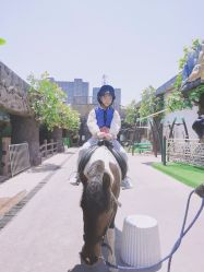 点击看大图 -宝燕乐园(闵行旗舰店)