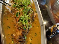 -食家鸽园