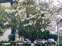 -广西大学(大学东路校区)