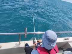 -小猫钓鱼海钓俱乐部(椰梦长廊店)