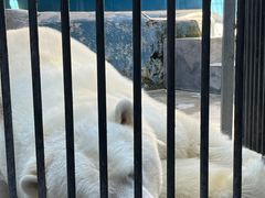 -泉城欧乐堡海洋极地世界