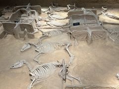 -洛阳周王城天子驾六博物馆