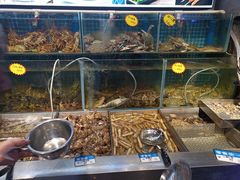-77号·蒸海鲜青岛菜(积米崖店)
