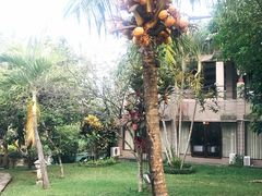 -Bebek Joni Restaurant