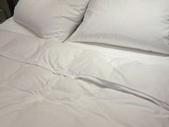 -桔子酒店(上海西藏北路地铁站店)