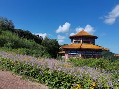 -香炉山国家森林公园