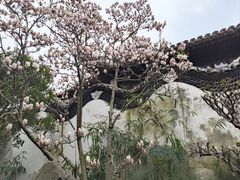 -豫园