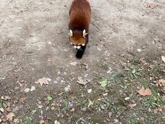 -上海野生动物园