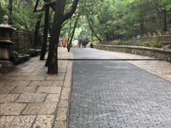 -灵岩山风景区