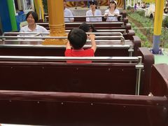 -百万葵园