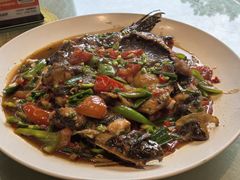 -生态苑农庄(十里画廊遇龙河店)