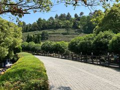 -树山生态村