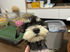 -四月宠物医院·猫专科·心脏专科·内科(转塘店)