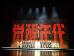 -合肥大剧院