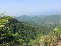 iphone_upload_pic-西湖风景区十里琅珰-五云山