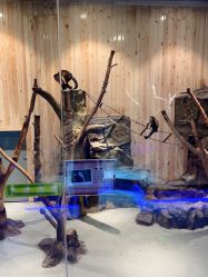 -未来动物城动物主题公园(大悦城店)