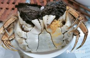 Steamed Male Crab in Clear Water