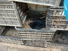 -武汉开心果园农业发展有限公司