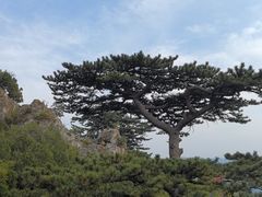 -圣莲山风景区