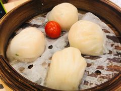 金牌虾饺皇-点都德(北京路贰店)