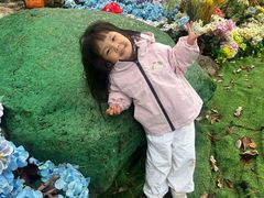 -洛阳白云山景区