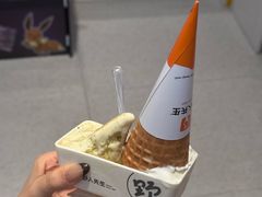 -野人先生Gelato(上海长宁龙之梦店)
