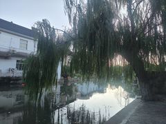 -观桥阁(锦溪店)