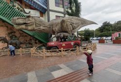 -宝燕乐园(闵行旗舰店)