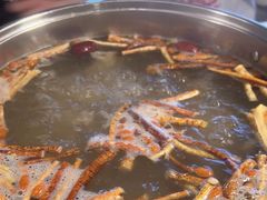 -小煵记·打边炉(西丽文光店)
