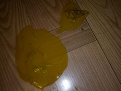 -甄爱宠物医院(疏影路店)