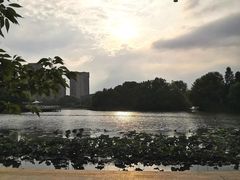 -新江湾城公园