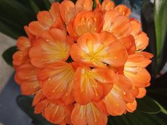 -北京植物园-展览温室