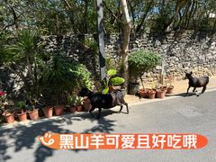 -三亚西岛海洋文化旅游区