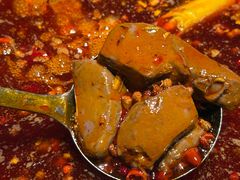 -红鼎坊·老成都火锅(新南门店)
