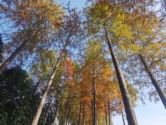 -太湖湖滨国家湿地公园-停车场