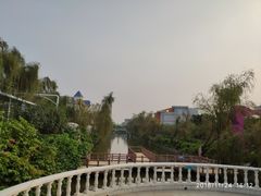 -百万葵园
