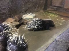 -青青世界