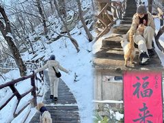 -终南山南五台景区