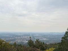 -阳台山自然风景区